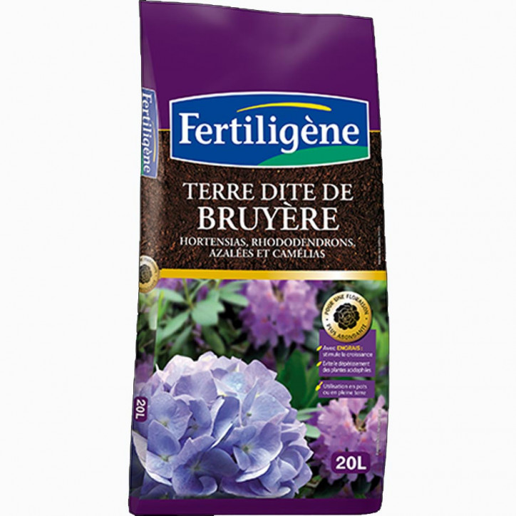 Terre dite de Bruyère