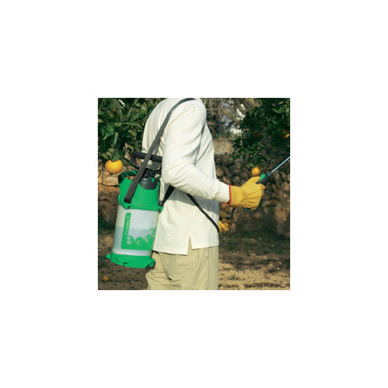 Pendant le traitement