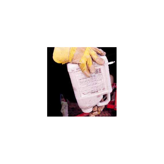 Après le traitement